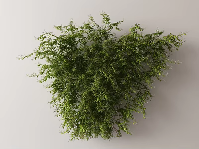 Modern Vine 3d model