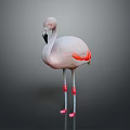Pink Flamingo As Flying Animal With Red Wings And Long Legs Standing On Gray Background