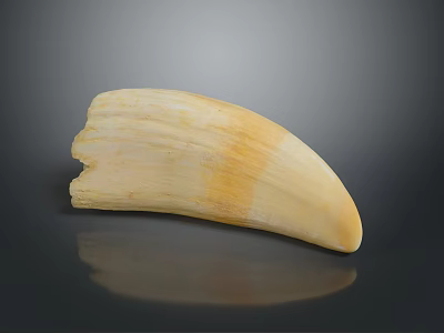 Ivory Decorative Furniture Piece With Natural Texture Gradient Color On Black Surface With Reflection 3d model