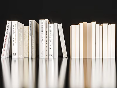 Neatly Arranged Decorative Books In Various Colors Heights On Black Background With Reflection 3d model