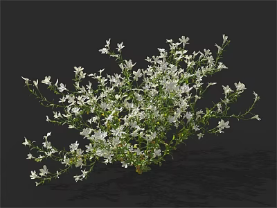 White Small Flowers With Green Stems Leaves And Dense Growing Foliage 3d model