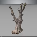 Natural Wood And Stone Decorative Sculpture With Twisted Roots And Rough Texture