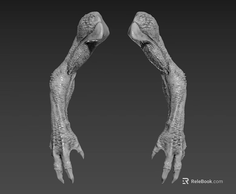 Creature Claws 3D Model Design For Character With Detailed Texture And Sharp Talons 3d model 