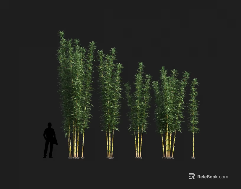 Tall Green Bamboo Plants With Lush Leaves And Person Silhouette In Landscape 3d model 