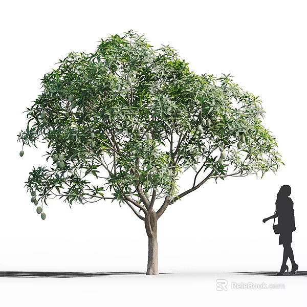 Lush Green Tree With Fresh Fruits And Person Silhouette Walking Nearby 3d model 