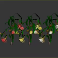 Decorative Plants With Green Leaves And Colorful Flowers Yellow Pink White Blooms On Curved Branches
