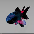 Vibrant Blue And Pink Tropical Fish With Colorful Fins Tail And Body
