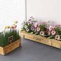 Colorful Flowers In Wooden Planters With Peppers Sunflowers Tags Near Window Blinds