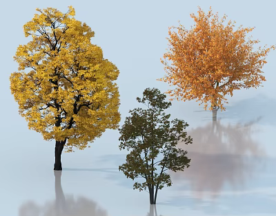Three Arbor Trees With Yellow Orange Green Leaves And Reflections On Ground 3d model