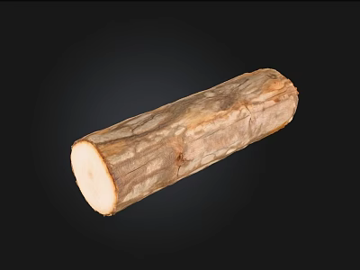 Natural Stone and Wood Crafted Log with Rustic Texture and Brown Surface 3d model