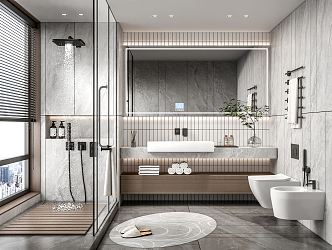 Modern Toilet Basin Cabinet Toilet Cleaning Washer Mirror Shower Room Shower Towel Rack Bath Products 3d model