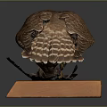 Well Preserved Falcon Taxidermy Specimen Standing On Solid Wooden Base