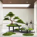 Indoor Garden Decor Featuring Bonsai Pine Tree Circular Platforms And Moss Stones 3d model
