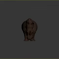 Realistic 3D Rhinoceros Model With Brown Textured Skin Standing On Gray Background