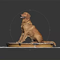 Golden Retriever Dog Sitting On Round Mat With Gear Patterns Against Black Background