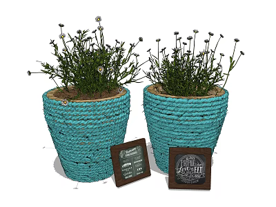 Decorative Potted Green Plants in Blue Woven Pots with Small Wooden Frames 3d model