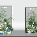 Floral Display Design With Transparent Panels Green Foliage White And Blue Blooms