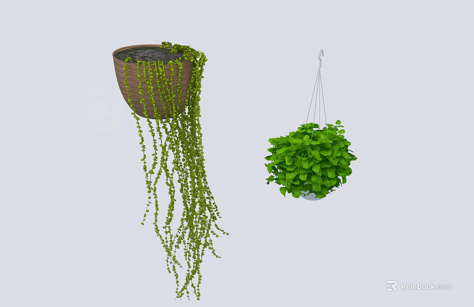 Hanging Basket Plants With Trailing Green Vines And Lush Foliage In Brown And White Baskets 3d model 