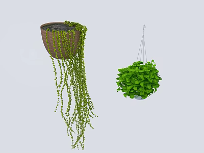 Hanging Basket Plants With Trailing Green Vines And Lush Foliage In Brown And White Baskets 3d model