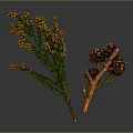 Natural Home Decor Branch with Green Leaves and Brown Pine Cones on Gray Background
