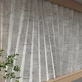Modern Textured Background Wall with Concrete Texture and Wooden Frame Accompanied by Green Plants