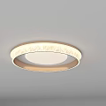 Modern Round Ceiling Light with Gold Frame and Soft Illumination 3d model