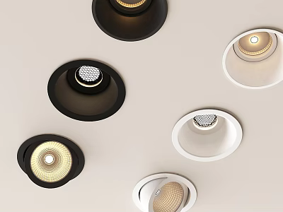 Modern Downlights And Spotlights With Black White Design For Ceiling Lighting 3d model