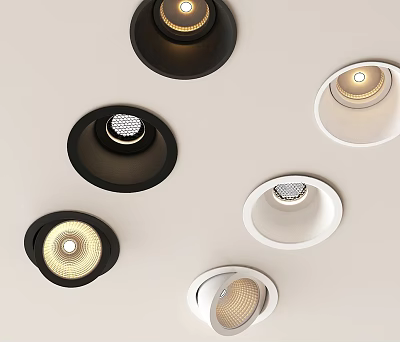 Modern Downlights And Spotlights With Black White Design For Ceiling Lighting 3d model