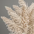 Elegant Pampas Grass Decorative Set With Metallic Vase For Interior Styling