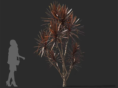 Arbor With Reddish Brown And Green Leaves Branched Trunk And Human Silhouette 3d model
