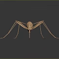 Golden Mosquito With Long Legs And Detailed Wings Displayed On Dark Background 3d model