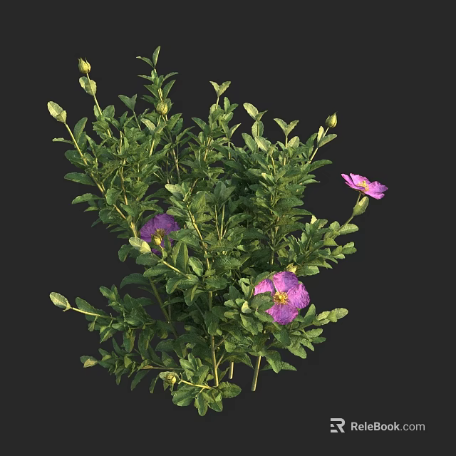 Vibrant Green Flowering Plant With Lush Leaves Purple Blooms And Fresh Buds 3d model 
