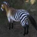 Realistic 3D Model Of Striped Zebra Tailed Lizard In Natural Grassland Habitat
