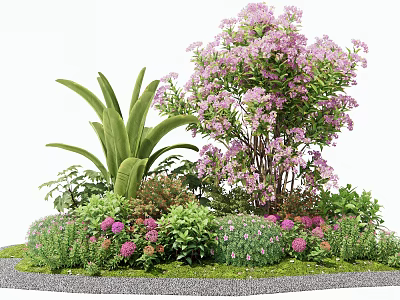 Vibrant Purple Flowers and Lush Green Plants with Various Foliage on Gravel Garden Ground 3d model