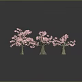 Three Pink Flowering Trees With Green Trunks On Grey Background And Ground Reflections