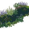 Aquatic Plants in Garden Pond with Water Lilies Purple Pink Flowers and Green Foliage