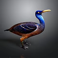Vibrant Bird With Blue Head Yellow Beak And Brown Body Standing On Dark Background