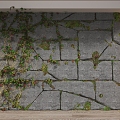 Plant wall 3d model