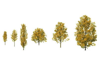 Various Sizes of Trees with Golden Foliage for Landscape Design Projects 3d model