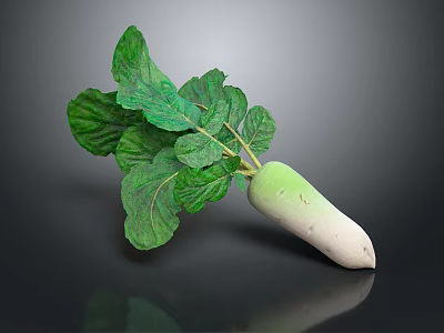 Fresh Turnip With Green Leaves And White Green Root On Black Background 3d model