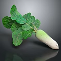 Fresh Turnip With Green Leaves And White Green Root On Black Background