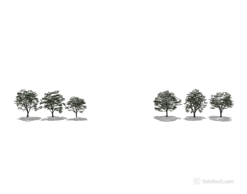 Arbor Tree Arrangement In Two Rows With Three Trees Each Varying Sizes 3d model