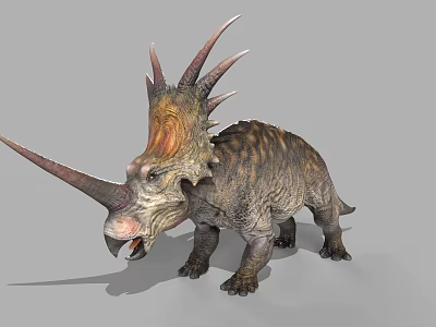 Realistic Triceratops Dinosaur Model with Horns Frilled Skull and Textured Body 3d model