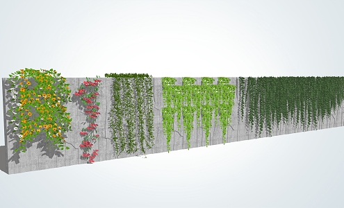 Modern Vines Climbing Wall Plants 3d model