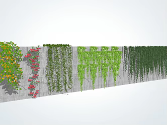 Modern Vines Climbing Wall Plants 3d model
