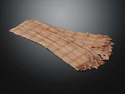 Stylish Brown Beige Plaid Scarf With Fringes For Winter Fashion Accessory 3d model