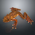 Frog Poison Frog Game Frog Reptile Cold Blooded Animal Reptile 3d model