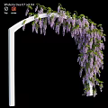 Elegant Ornament Decoration Set With White Arch Purple Wisteria Flowers And Green Leaves