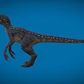 Velociraptor Speed Dragon Microraptor Dinosaur Reptile Ancient Biology Meat-eating Dinosaur Jurassic Low Face Number Low Model Simple Model Game Movie Realistic 3d model