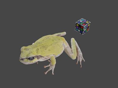Green Frog Next to Colorful Rubik's Cube on Gray Background 3d model